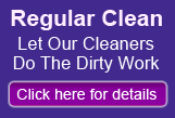 Regular Clean banner
