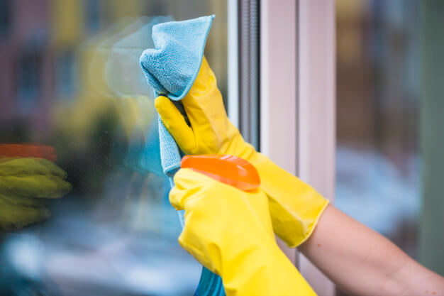 Cleaning the Windows